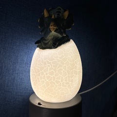 恐竜　LED ライト  の画像
