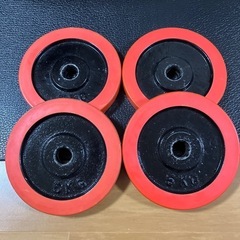 ラバー アイアン プレート20kg (5kg×4枚)