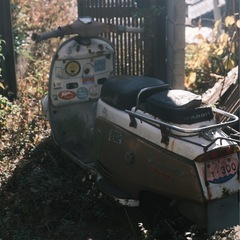 広島写真倶楽部 - メンバー募集
