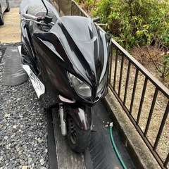 マジェSG03jの画像