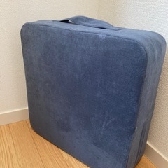 La-VIE(ラヴィ) 室内用クッショントランポリン トランポ！ 