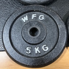 アイアン プレート20kg (5kg×4枚) WILD FIT の画像