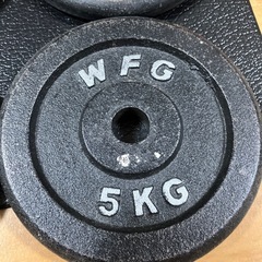 アイアン プレート20kg (5kg×4枚) WILD FIT の画像