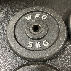 アイアン プレート20kg (5kg×4枚) WILD FIT の画像
