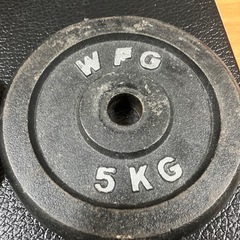 アイアン プレート20kg (5kg×4枚) WILD FIT の画像