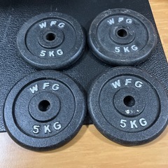 アイアン プレート20kg (5kg×4枚) WILD FIT 
