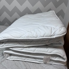 ニトリ　抗菌防臭防ダニ 敷布団 2枚セット