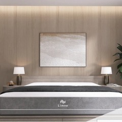 中古品 リムネマットレス ダブル Limne the Mattress