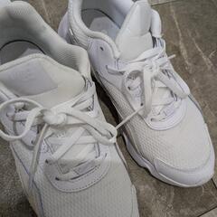 Nikeスニーカー24.5cmの画像