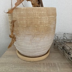 植木鉢2点セット