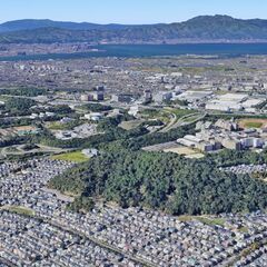 草津市唯一の山　「牟礼山」ウォーキング - メンバー募集