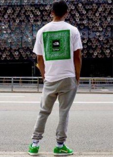 Size【L】 SUPREME シュプリーム ×The North Face 22SS Bandana Tee White