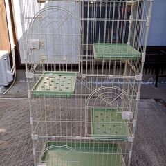 猫ちゃんゲージの画像