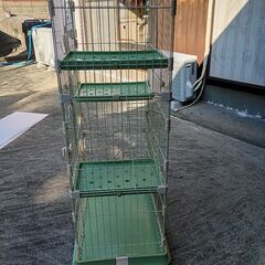 猫ちゃんゲージの画像