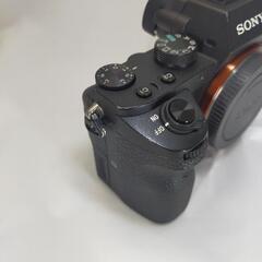 ILCE-7M2

α7iiの画像