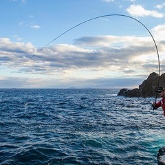 釣り好きな人募集
