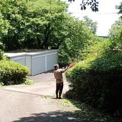 造園の画像