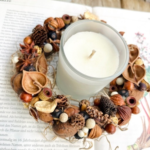 木の実 リース ハロウィン クリスマス キャンドル トップ