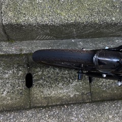 ノーパンク 折りたたみ自転車 16インチ 災害時にも便利 前後泥除け標準装備 PANGAEA(パンゲア) FDB160-NP パンクしないので安心の画像