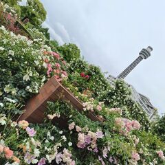 ～５０代・４０代～子無しさん　お友達になりませんか