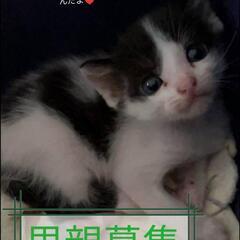 トライアル中です♥仮名フチャギ君笑