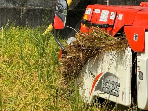 完売しました！ 令和6年 新米 静岡産 30キロ 玄米