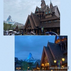 11/17（日）ディズニーシー同行者募集