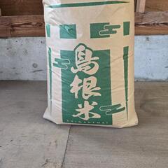 　　[新米]　令和6年産　きぬむすめ　玄米30kg　