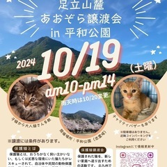 保護猫譲渡会in平和公園