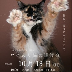 訳アリ猫の譲渡会』vol.