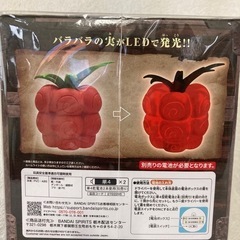 バラバラの実 LED