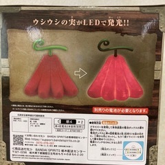 ウシウシの実　LED