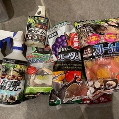 カブトムシ・クワガタムシ　飼育セット
