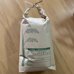 お米 5キロ