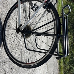 ジャイアント　Mサイズ　の画像