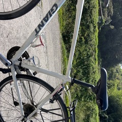 ジャイアント　Mサイズ　の画像