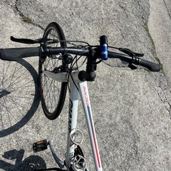 ジャイアント　Mサイズ　の画像