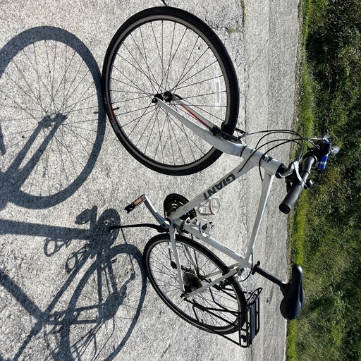 ジャイアント　Mサイズ