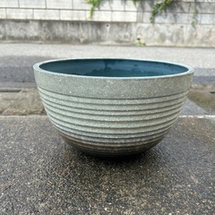 睡蓮鉢