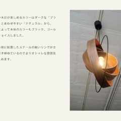 INTERFORM PeenrantaペーンランタLT2646 ペンダントライトの画像