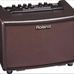 ライブスピーカー【Roland AC-33】