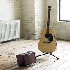 ライブスピーカー【Roland AC-33】の画像