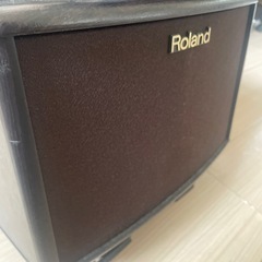 ライブスピーカー【Roland AC-33】の画像
