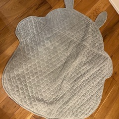 トトロ お昼寝布団♪の画像