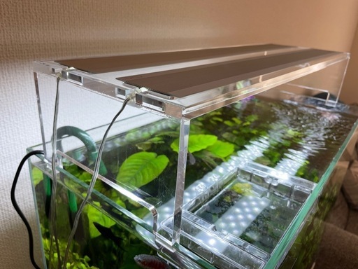 美品 水草照明 ADA AQUASKY G 602 アクアスカイ602