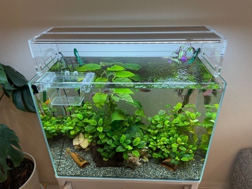 美品 水草照明 ADA AQUASKY G 602 アクアスカイ602