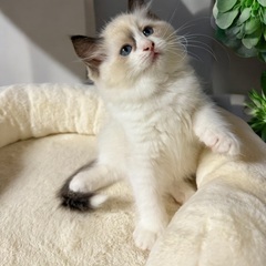 ご家族決まりました。🙇