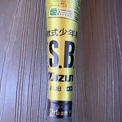 ミズノ金属バット　木製バット　セットの画像