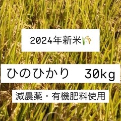 有機肥料使用　減農薬　ヒノヒカリ　2024年新米　30kg