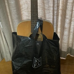 Morris モーリス　ギターの画像